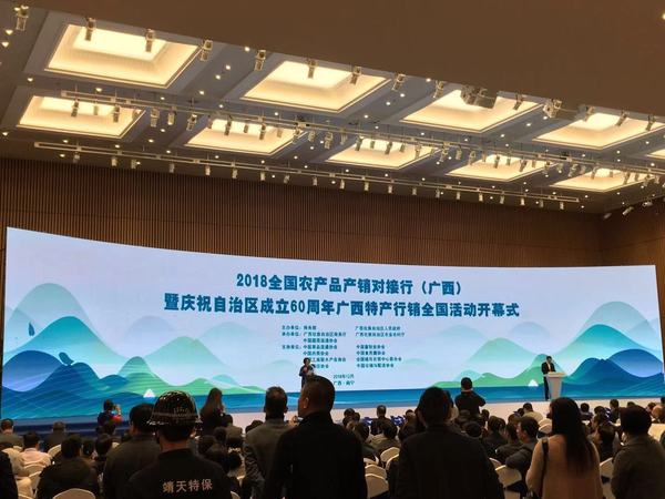 2018全国农产品产销对接行(广西)暨庆祝自治区成立60周年广西特产行销全国成果展 (15).jpg